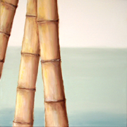Bambus I